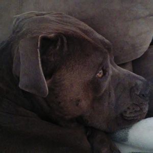 Meet your Posher, Amy therese